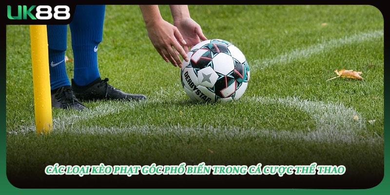 Các loại kèo phạt góc phổ biến trong cá cược thể thao
